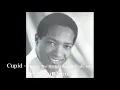 Sam Cooke - Cupid - Live At The Harlem Square Club, 1963