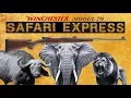 MODEL 70 SAFARI EXPRESS History and Relevance