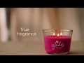 Download Lagu Glade® Exotic Tropical Blossoms™ Geur