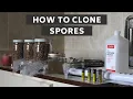 How To Clone Any Mushroom Genetics with Liquid Culture