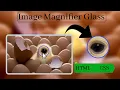 how to create image magnifier glass using html and css image magnifier glass future exam