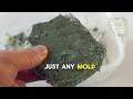 Health Benefits of Blue Cheese: Discover the Probiotic Power Within