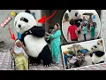 Download Lagu Panda 🐼 Prank On Bebe And Mummy 🤣 | ਬੇਬੇ ਦੀਆਂ ਚੀਕਾਂ ਨਿਕਲ ਗਈਆਂ 😂 | #harmankhosa #panda 