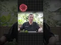 Download Lagu Pantangan Makanan Bagi Pasien Kanker | RS Onkologi Solo #cancercenter