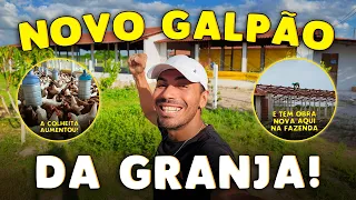 NOVO GALPÃO DA GRANJA!