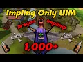 I Have Caught Over 1 000 Dragon Implings - Impling Only UIM