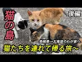 Download Lagu 猫の島・池島に台風の中１０日間滞在【野良猫を保護】ひとり旅