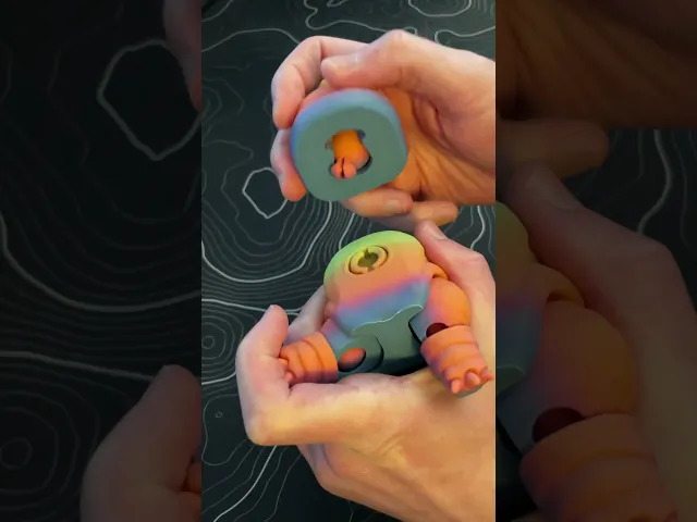 Tardigrade (Water Bear) - Articulated Figure video thumbnail