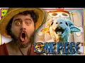 Download Lagu One Piece Live Action Looks Terrible