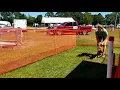 FastCat - Three Dogs Running Really Fast