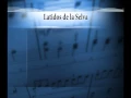 Download Lagu Latidos de la Selva Sound track  1 Latidos de la Selva