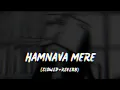 Lagu SR LOFI ||Hamnava Mere @Jubin Nautiyal (Slowed+Reverb) #lofi #trending  #slowedandreverb #newsong