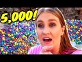 Huge Backyard Easter Egg Hunt
