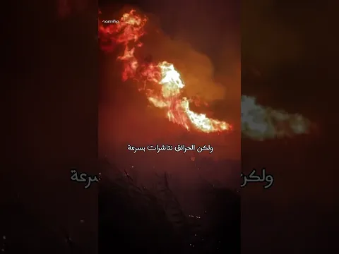 ماذا يحدث في الجزائر 🤔😨 #قصص #الجزائر # #رعب #اكسبلور