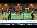Into Mischief colt sells for 4 200 000 at The Saratoga Sale 2026