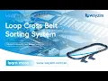 Enhancing Airport Efficiency Loop Cross Belt Baggage Sorting System