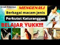 Download Lagu WAJIB TAU‼️ Mengenali berbagai macam jenis Burung perkutut KATURANGGAN di Nusantara
