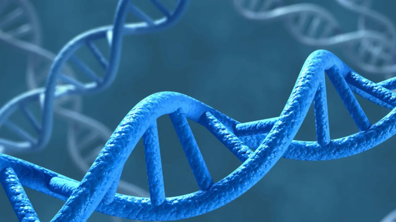 Gene Expression Regulation || Mrs. Biology