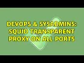 DevOps SysAdmins squid transparent proxy on all ports 2 Solutions