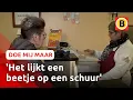 Download Lagu Bij Frituur 't Schuurtje wordt op 10 vierkante meter keihard gewerkt | Doe Mij Maar
