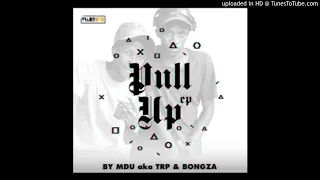 mdu a k a trp bongza u0026 kabza de small mjolo feat howard pullup ep