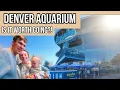 DENVER AQUARIUM What s it like and IS IT WORTH GOING