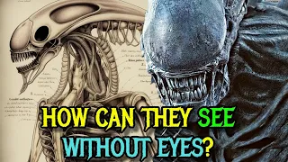Xenomorph Detailed Anatomy Explored - How Can They See Without The Eyes Self-Destruct Mechanism