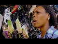 Download Lagu Manitou \u0026 sa famille - La bouche cadeau