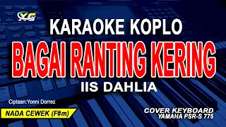 Download IIS DAHLIA - BAGAI RANTING YANG KERING (KARAOKE KOPLO) NADA WANITA MP3