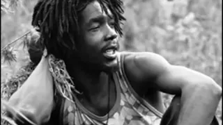 Download Peter Tosh - Wanted Dread or Alive (Pineapple Express Soundtrack) MP3