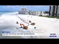 Alligators surprise Fort Myers Beachgoers amid renourishment project