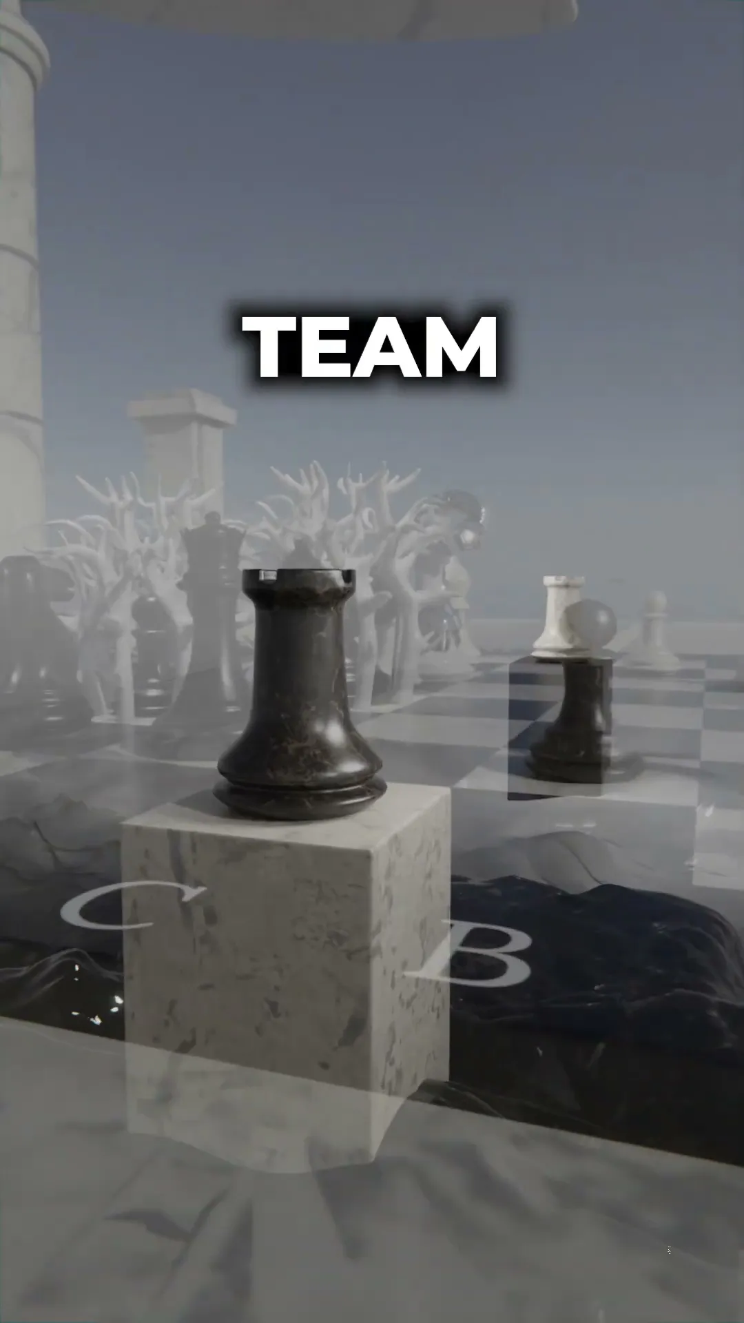 Chess Rook