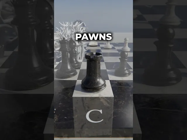 Chess Rook video thumbnail