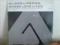 where love lives (sauna mix) - alison limerick - 1991