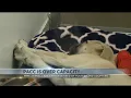 PACC seeks adoptions and fosters as shelter faces critical capacity crisis