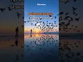Download Lagu Menjauh lebih baik #storysad #katakatabijak #shortvideo