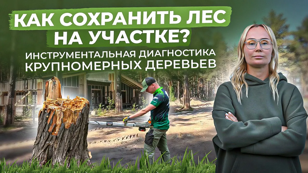 Лесной участок. Как сохранить деревья?!Инструментальная диагностика.