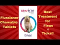 Why Bravecto Tablets are the Best Treatment for Fleas and Ticks