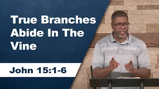 True Branches Abide in the Vine // John 15:1-6 // Sunday Service