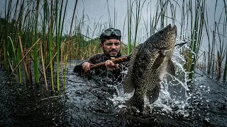 Pescando con una fuerte lluvia que nos dejo grandes tilapias y mas