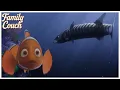 Marlin Coral Face The Barracuda Finding Nemo 2003 - Opening Scene