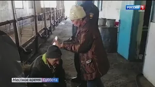 В Омской области доярка убила скотника за то, что не принес коровам сена