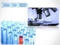 Critical evaluation of scientific articles