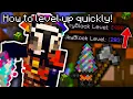The EASIEST ways to increase your Skyblock level Hypixel Skyblock