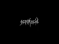 psychonaut 4 - alcoholism (guitar cover)