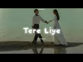 Tere Liye | Slowed And Reward Full | Vivek Oberoi | Shreya Ghoshal | Hindi Hits Dance Songs