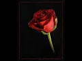SAMURAY - el soy yo (EQ)