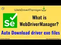 WebDriverManager API Auto Download driver exe files in Selenium Launch browser without exe