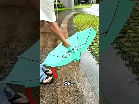 Mi Paraguas Se Pone en la Cabeza 😂