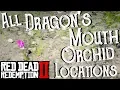 Red Dead Redemption 2 - All 9 Dragon s Mouth Orchid Locations Duchesses and Other Animals Exotics